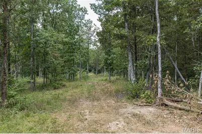 0 Dodson, De Soto, MO 63020 - Photo 2