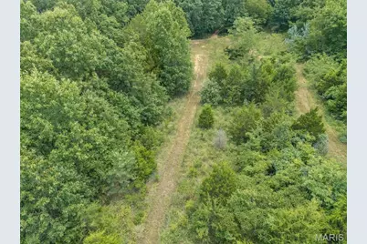 0 Dodson, De Soto, MO 63020 - Photo 48