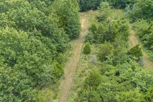 0 Dodson, De Soto, MO 63020 - Photo 48