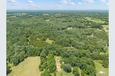 0 Dodson, De Soto, MO 63020 - Photo 10