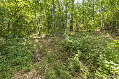 0 Dodson, De Soto, MO 63020 - Photo 20
