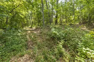 0 Dodson, De Soto, MO 63020 - Photo 20