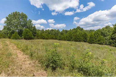 0 Dodson, De Soto, MO 63020 - Photo 22