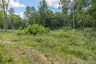 0 Dodson, De Soto, MO 63020 - Photo 28