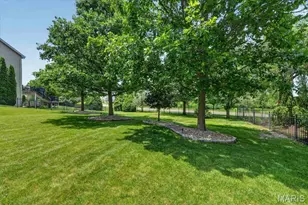 119 Elderberry Ln, Wildwood, MO 63040 - Photo 18