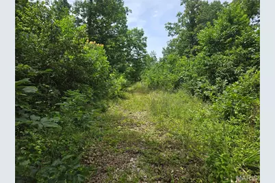 282 Ripley 142E-28A, Oxly, MO 63955 - Photo 8
