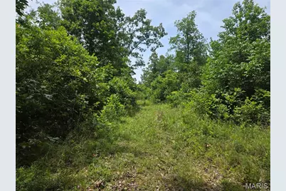 282 Ripley 142E-28A, Oxly, MO 63955 - Photo 14