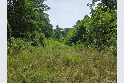 282 Ripley 142E-28A, Oxly, MO 63955 - Photo 6