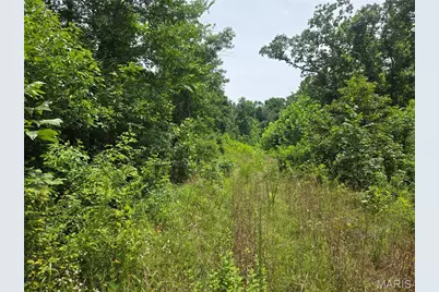 282 Ripley 142E-28A, Oxly, MO 63955 - Photo 10