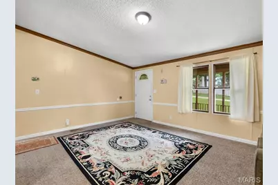 8906 Riverview Drive, Cedar Hill, MO 63016 - Photo 4