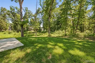 442 Shady Trl Dr, Troy, MO 63379 - Photo 40