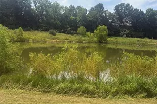 70 Hartley Ln, Elsberry, MO 63343 - Photo 22
