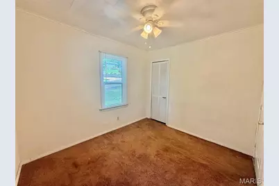 519 N Elm Street, Pacific, MO 63069 - Photo 16