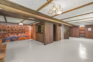 9823 Wilbes Dr, Saint Louis, MO 63123 - Photo 34