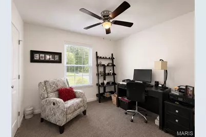 10162 Lake Ridge Drive, Hillsboro, MO 63050 - Photo 34