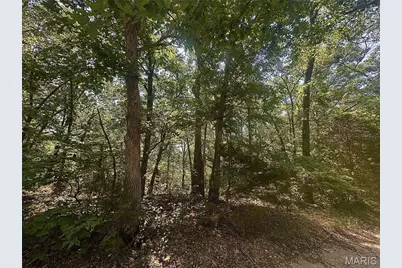 0 Estates Lane, Bonne Terre, MO 63628 - Photo 2
