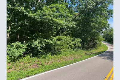 0 Hwy F Road, Potosi, MO 63664 - Photo 4