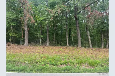 0 Hwy F Road, Potosi, MO 63664 - Photo 8