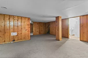 4041 Magnolia Ave, Saint Louis, MO 63110 - Photo 36