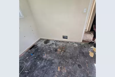 10125 Crown Point Drive, Saint Louis, MO 63136 - Photo 34