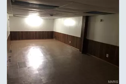 7316 Sharp Avenue, Saint Louis, MO 63116 - Photo 14