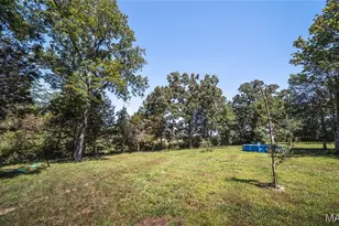 4715 Tillman Trail, Farmington, MO 63640 - Photo 36