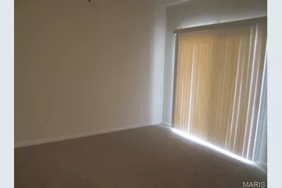 39 Kassebaum Lane #102, Saint Louis, MO 63129 - Photo 4