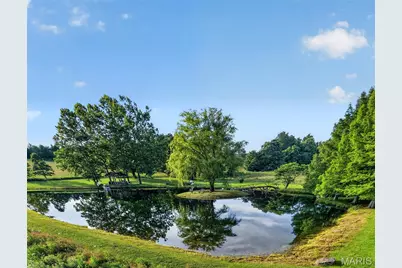 21530 Highway 49, Black Jack, MO 63625 - Photo 68