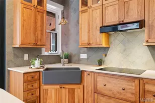 [Address not provided], Saint Louis, MO 63118 - Photo 16