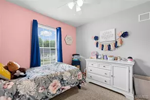 1496 St Charles Dr, Hillsboro, MO 63050 - Photo 46