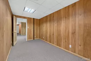 2711 Spotted Horse Trail, Saint Clair, MO 63077 - Photo 46