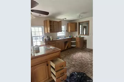 624 Dearborn Drive, Bismarck, MO 63624 - Photo 2
