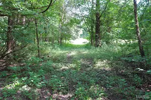 1971 Epple Rd, Hermann, MO 65041 - Photo 66