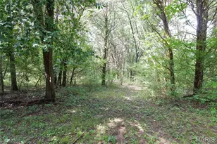 1971 Epple Rd, Hermann, MO 65041 - Photo 68