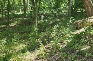 1496 S Lake Sherwood Dr, Marthasville, MO 63357 - Photo 8