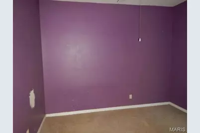3412 Alberta Street, Saint Louis, MO 63118 - Photo 2