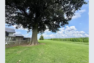 20754 County Road 104, Malden, MO 63863 - Photo 12