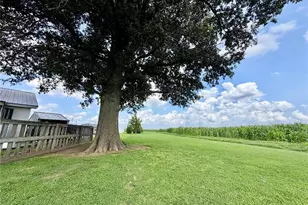 20754 Co Rd 104, Malden, MO 63863 - Photo 12