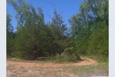 41.58 Acres Hwy 47, Cadet, MO 63630 - Photo 16