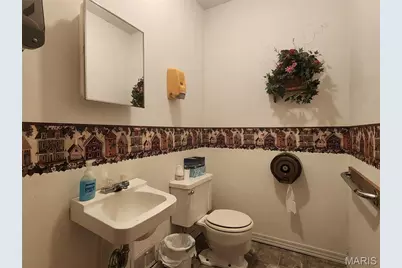301 S Division Street, Bonne Terre, MO 63628 - Photo 14