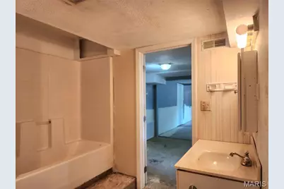 301 S Division Street, Bonne Terre, MO 63628 - Photo 30