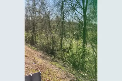 55 Hwy E-Veterans Highway, De Soto, MO 63020 - Photo 2