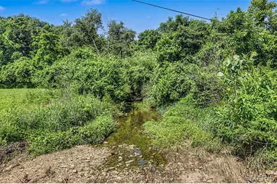 133 Wood Valley Trail, Pacific, MO 63069 - Photo 30