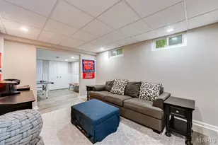 420 Woodview Manor Ln, Kirkwood, MO 63122 - Photo 54