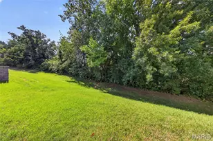 316 Chestnut Creek Cir, O'Fallon, MO 63368 - Photo 40