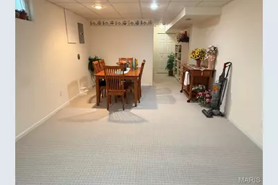 10342 Tiffany Village Circle Drive, Saint Louis, MO 63123 - Photo 26