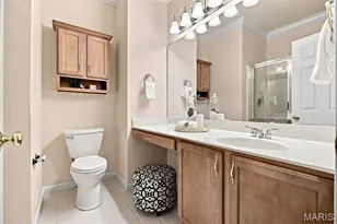 1011 Nooning Tree Dr, Chesterfield, MO 63017 - Photo 20