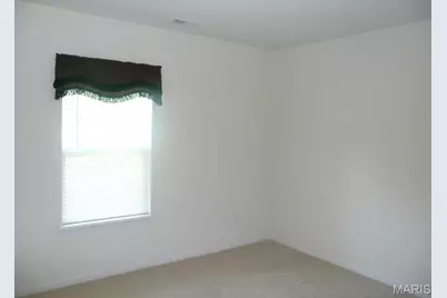 118 Fallon Villa Court, O'Fallon, MO 63368 - Photo 20