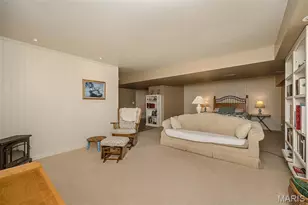 2 Jackson Cir, Festus, MO 63028 - Photo 40