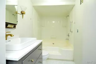 6739 Oleatha Ave, Saint Louis, MO 63139 - Photo 54